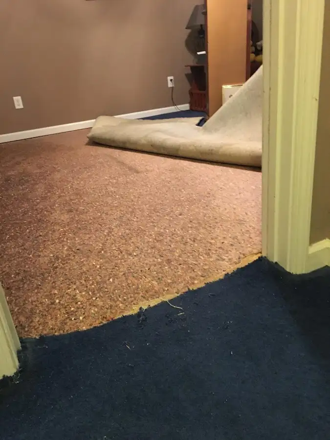 Carpet pad removal revealing water damage during Water Mitigation Services in Park