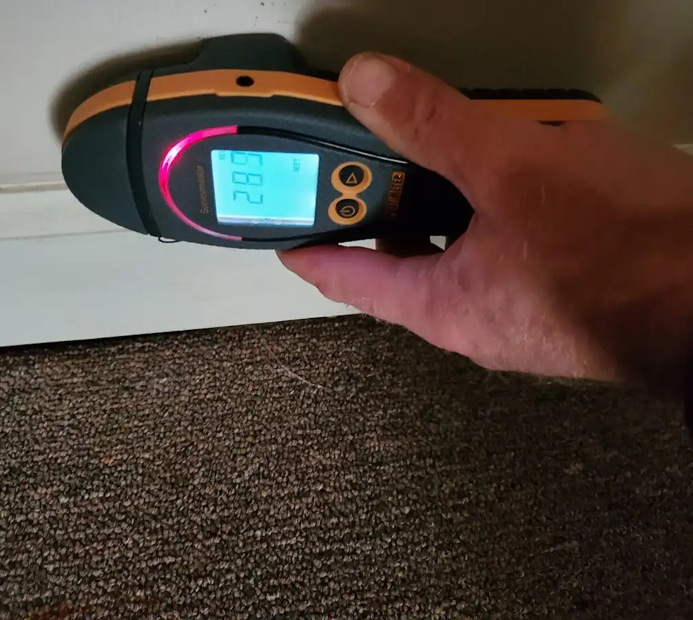 Moisture detection at baseboard during Sewage Cleanup & Sanitation in Park